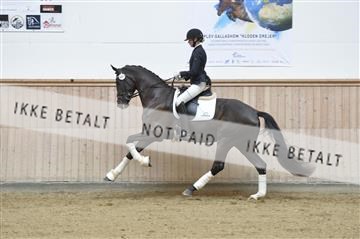 160111_nn_01__ESK1951.JPG