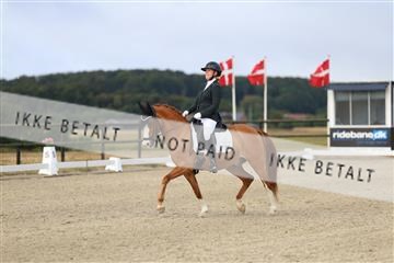 181894_mtp_04_R62_3235.JPG