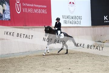 181887_mtp_04_R62_9044.JPG