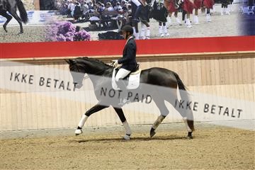175676_avh_01_R62_4387.JPG
