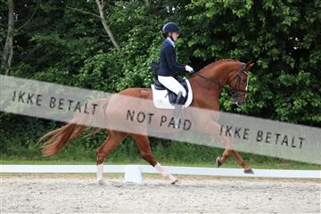 172073_mtp_01_3M5A3112.JPG