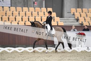167300_abo_01_D05_2229.JPG