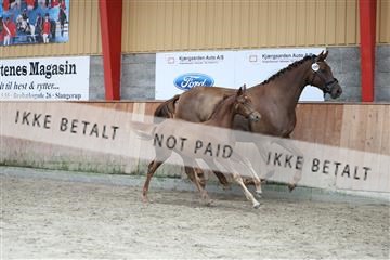 181868_mtp_03_R62_6435.JPG