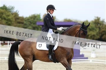 181923_mtp_03_R62_7531.JPG