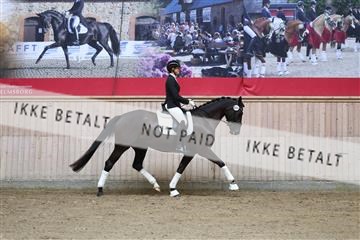 181887_mtp_01_R62_6894.JPG