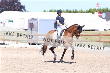 181449_bc_01R62_5839.JPG