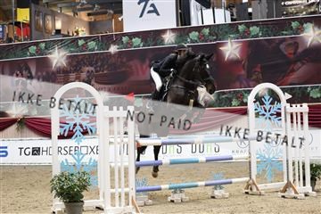 175934_avh_01_5990.JPG