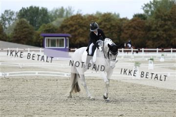 181923_mtp_04_R62_8414.JPG