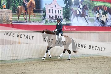 181887_mtp_04_R62_8446.JPG