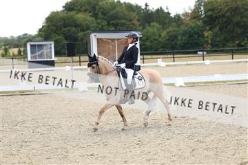 181894_mtp_02_R62_1656.JPG