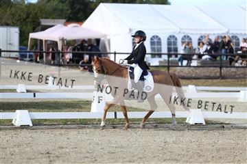 181894_mtp_05_R62_5078.JPG