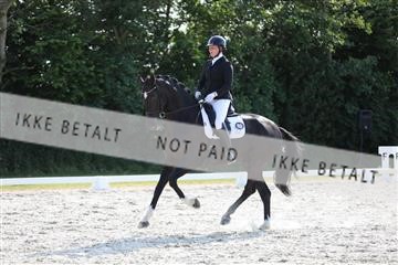 172073_mtp_01_3M5A4881.JPG