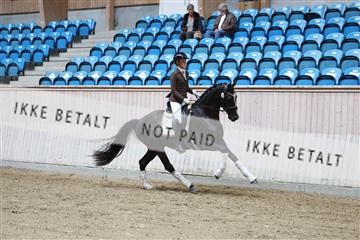 181887_mtp_04_R62_8688.JPG