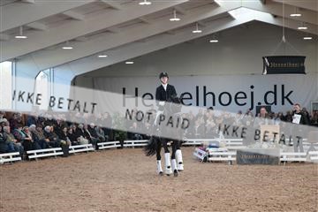 179022_kbb_01_R6II2647.JPG