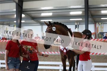 181756_mtp_01_R62_1722.JPG