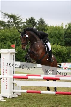 152528_nn_01_IMG_3350.JPG