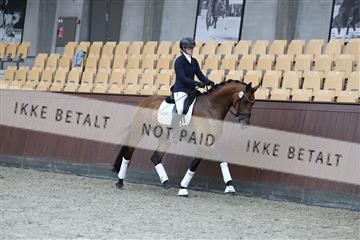 181852_mtp_04_R62_2988.JPG