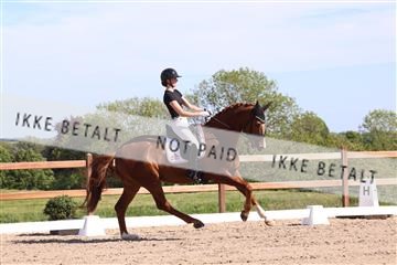 181449_bc_01R62_5968.JPG