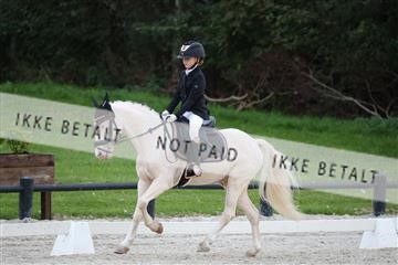 175392_jss_01_R6II0591.JPG
