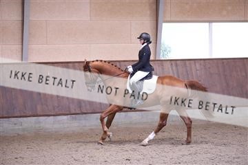 173821_mtp_01_3M5A9237.JPG