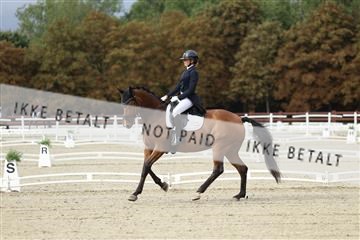 181923_mtp_03_R62_7266.JPG