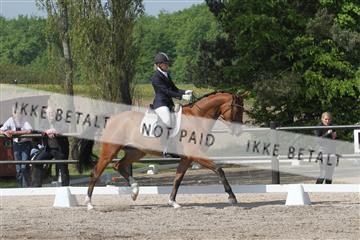 135086_sg_01_IMG_0004.JPG
