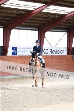 175442_kbb_01_R6II0102.JPG