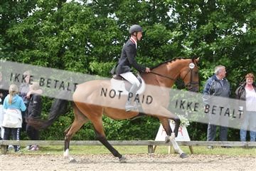 135518_ms_01_IMG_1485.JPG