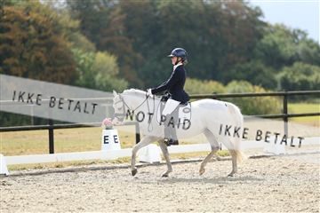 181894_mtp_05_R62_4385.JPG
