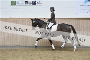 160111_nn_01__ESK1663.JPG