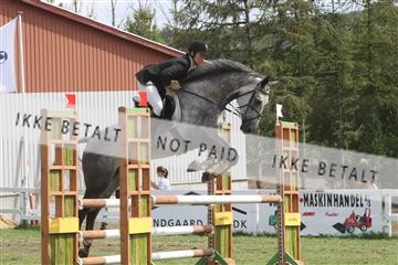 5925_ma_05_IMG_0874.JPG