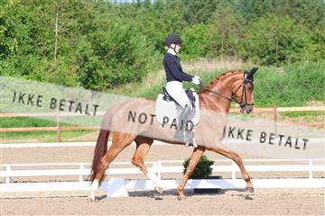 181449_bc_01R62_6558.JPG
