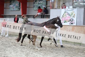 181868_mtp_04_R62_6464.JPG