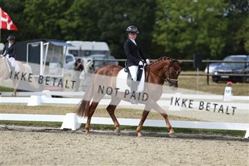 181894_mtp_05_R62_4704.JPG