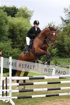 152528_nn_01_IMG_3355.JPG