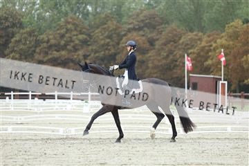 181923_mtp_03_R62_7845.JPG
