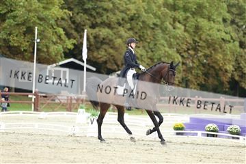 181923_mtp_04_R62_8653.JPG
