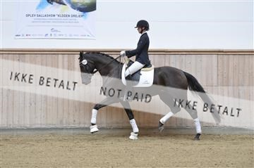 160111_nn_01__ESK1791.JPG