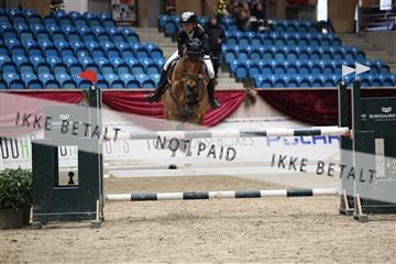 175934_avh_02_7776.JPG