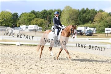 181894_mtp_05_R62_4971.JPG
