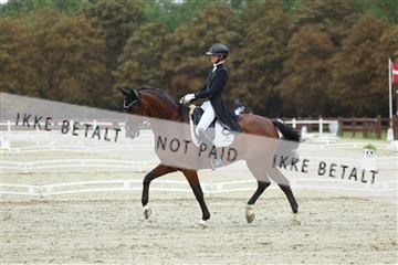 181923_mtp_03_R62_7798.JPG