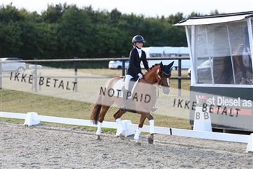 181894_mtp_05_R62_5731.JPG