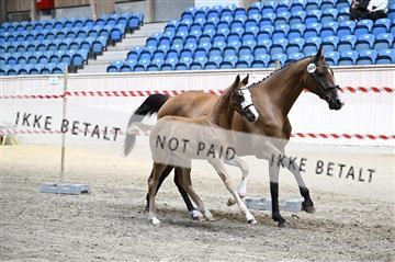 181754_kbb_01_Z092717.JPG