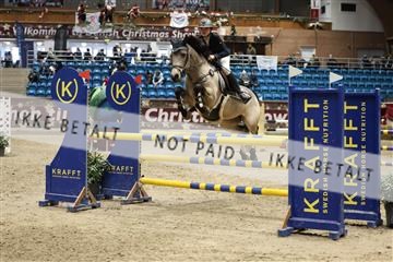 175934_avh_02_7439.JPG