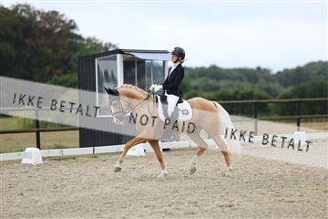 181894_mtp_04_R62_3752.JPG