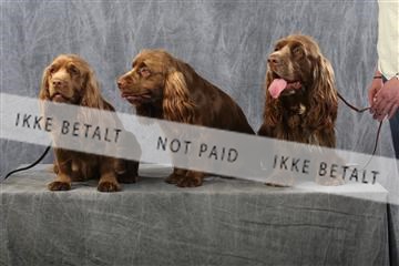 129608_le_ 01_0750.JPG