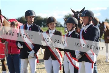 148862_sg_02_IMG_4241.JPG