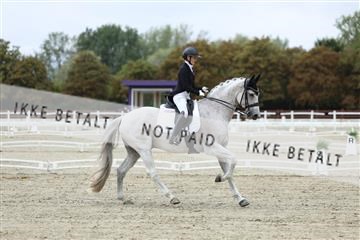 181923_mtp_04_R62_8394.JPG