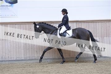 160111_nn_01__ESK1402.JPG