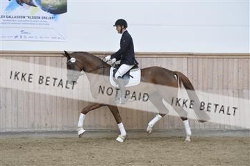 160111_nn_01__ESK2098.JPG